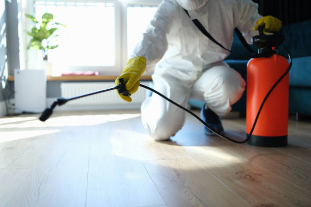 Reliable Biohazard contractor in Wallace, CA by Crime Scene Cleaner Online